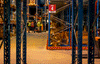 Forklift Driver Crew Members – 4 x Vacancies