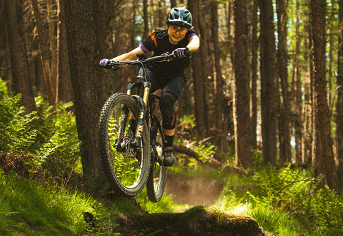 Muc-Off and Forestry England Partner to Protect the Trails and Forests Riders Love