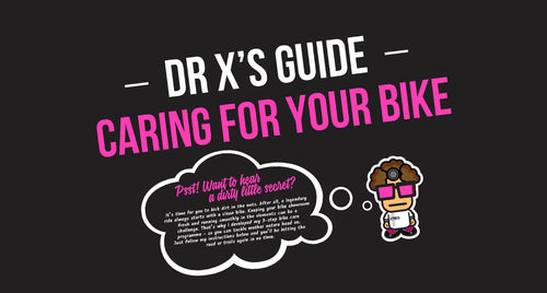 Bicycle cleaning guide