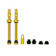 Tubeless Valves - V2