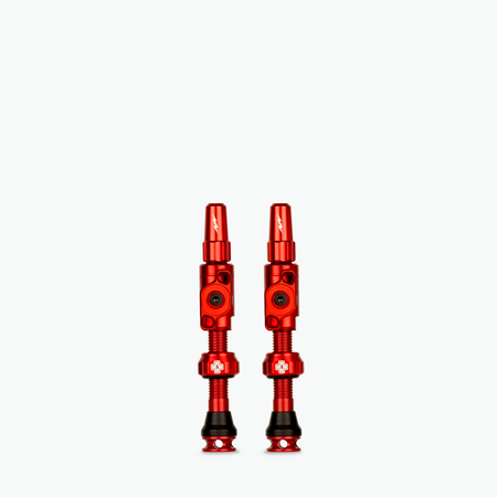 Big Bore Lite Tubeless Valves - Clearance Colours