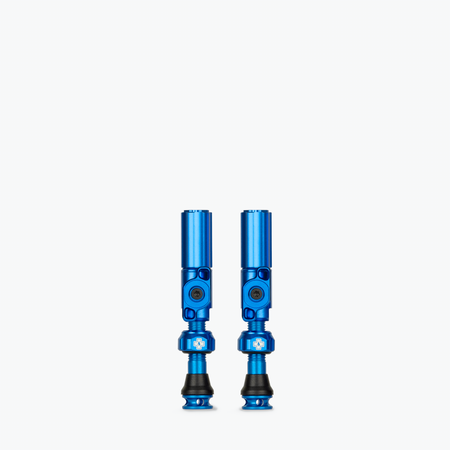 Big Bore Hybrid Tubeless Valves - Clearance Colours