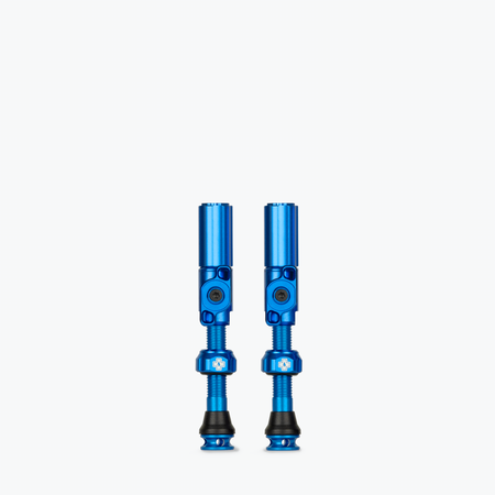 Big Bore Hybrid Tubeless Valves - Clearance Colours