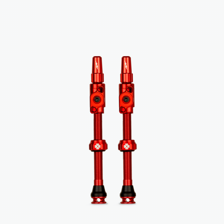 Big Bore Lite Tubeless Valves - Clearance Colours
