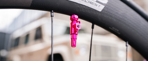 Frame Protection Kit - Punk - LIMITED E-BIKE STOCK REMAINING | Muc