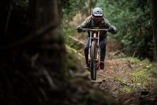 Generación especializada (GEN-S)