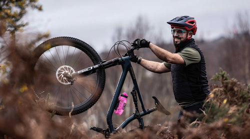 Representante de campo – Sudeste de América