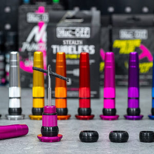 Web Exclusive Products